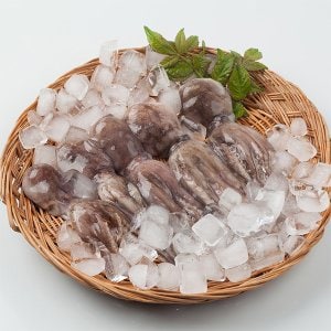 자연맛남 [산지직송] 국내산 여수 햇 쭈꾸미 1kg 10-17미(급냉)