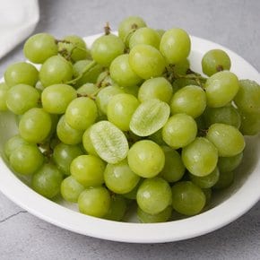 고당도 씨없는 애플 청포도 1kg