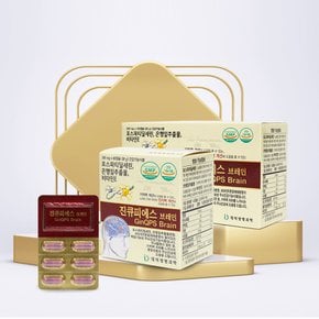 진큐피에스 브레인 1개월분 포스파티딜세린 은행잎추출물 피브로인추출물 기억력 인지력 두뇌건강 솔루션