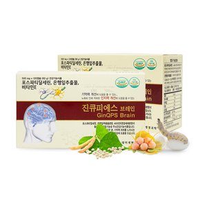 진큐피에스 브레인 1개월분 포스파티딜세린 은행잎추출물 피브로인추출물 기억력 인지력 두뇌건강 솔루션