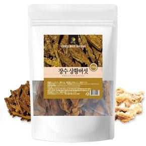 장수 상황버섯 250g (WB708E4)