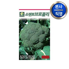 소렌토 브로콜리 씨앗 100립 . 채소 야채 텃밭 파종 재배 주말 농장 씨 종자