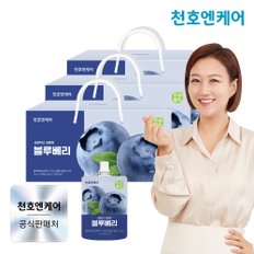 하루활력 블루베리즙 30팩 1박스