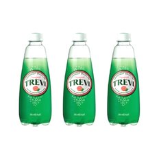 트레비 탄산수 자몽 300ml 100개 카페 에이드 탄산수