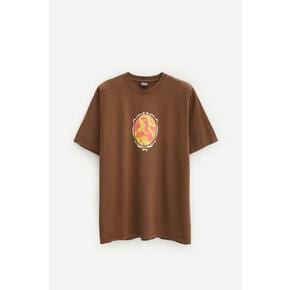 24SS 스투시 반팔 티셔츠 1905029 1001 BROWN