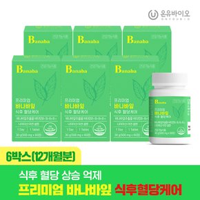 프리미엄 바나바잎 식후 혈당케어 6박스 (총12개월분) 코로솔산 국내 최대함량