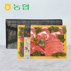 [9/9 순차출고][냉장][와룡농협] 안동 1+등급 한우 등채반 선물세트 1.2kg