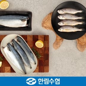 [9/5(목)순차출고][제주 한림수협] 굴비&고등어 실속 선물세트 (굴비 600g(10미) x 2팩+고등어100g x 10팩) / 부직포가방_국내산_냉동비축품