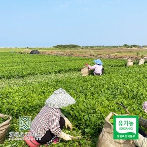 제주오가닉스 유기농 건취나물 100g (제주산)