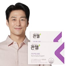 가자 엑스퍼트 2박스