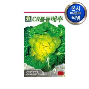 CR봄동 배추 씨앗 20g . 김장 채소 가을 텃밭 파종 결구 월동 씨 종자