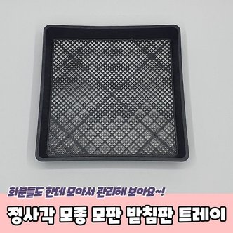  정사각 모종 모판 받침판 트레이 (WC40C14)