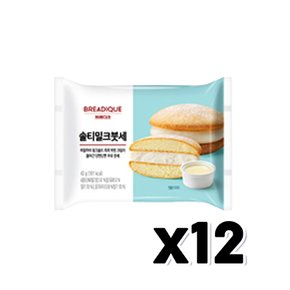 브레디크 솔티밀크붓세 베이커리빵 43g x 12개