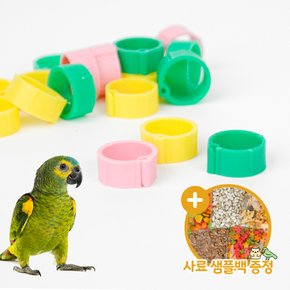 심플 앵무새 발목링 12mm 1P 플라스틱오픈링 암수구별