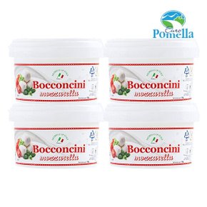 유로포멜라 모짜렐라 보코치니 치즈 컵 100g x 4개