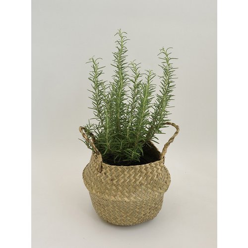 Add Image 1