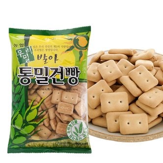 예찬愛 [우리밀농협] 우리밀 통밀건빵 200gx3봉