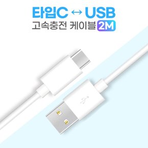 레노버 탭 M11 with Pen C타입 고속 충전 케이블 2m