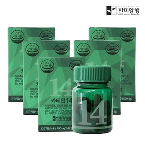 카테킨14 녹차추출물 체지방감소 다이어트보조제 700mg 5박스+쉐이크통 증정