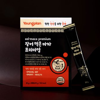  [영진약품] 장어 먹은 마카 프리미엄 2박스