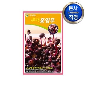 새싹 홍염무 씨앗 12g.친환경 무소독 무농약 무순 무싹 채소 수경 재배 씨 종자