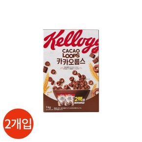 켈로그 카카오룹스 500g x 2개