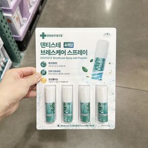 브레스케어 스프레이 15ml x 4개