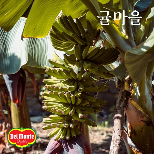 추가3이미지