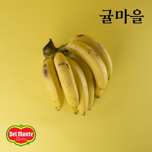 추가5이미지