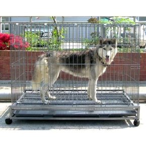 강아지 고양이 4B진도장 리빙용품 거실 울타리 (WC93100)