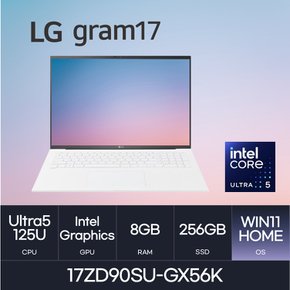 LG전자 2024 그램17 17ZD90SU-GX56K(WIN11 HOME/SSD 256GB/RAM 8GB)