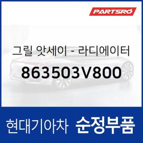 그랜저HG 순정 라디에이터 그릴 (카메라 미포함) (863503V800)