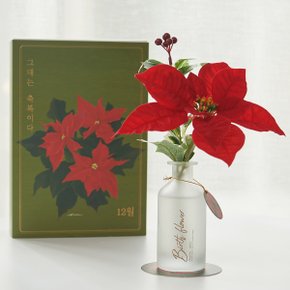 월간생일화지음 Ver.02 - 12월의꽃 포인세티아 디퓨저 -선물패키지