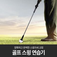 혼시티 스윙 블랙연습기 골프