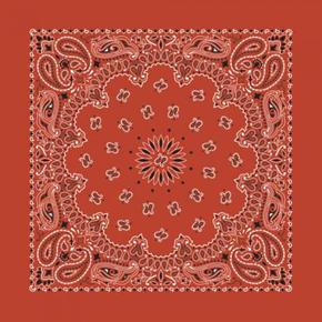 하바행크 Paisley Bandana-TERRACOTTA