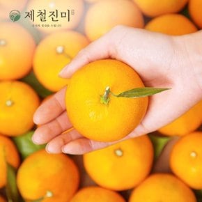 제주 햇 노지감귤 (극조생) 중대과 L-2L 3kg