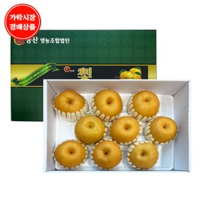 [가락시장 새벽 경매상품]신고배(특대) 7.5kg/box 8~10내(개당720~800g)