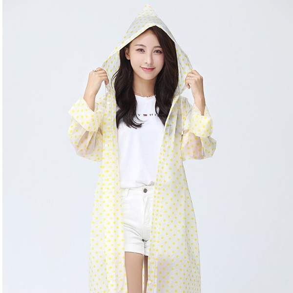 이미지1