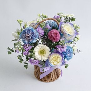 오로라 생화꽃바구니