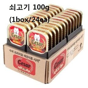 애견통조림 강아지캔 시저 쇠고기 100g 1box 24ea (W864B82)