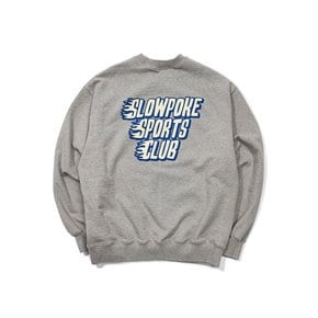 Flame Logo Loose Fit Sweat Shirt -Melange Grey-