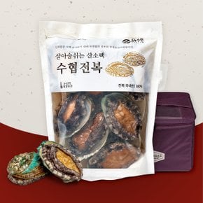 [산지직송] 바다 품은 전복세트 실속1호(1kg 7-8미) (신세계백화점 보냉가방)