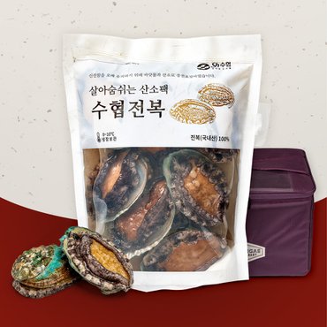 어부마실 [산지직송] 바다 품은 전복세트 실속1호(1kg 7-8미) (신세계백화점 보냉가방)