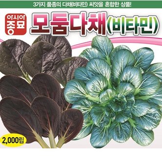 아시아종묘 다채씨앗종자 모둠다채 비타민(2000립)