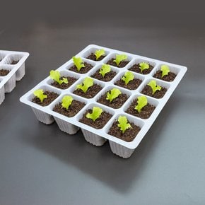 연결포트 모종트레이 연결구 다육포트 모종 묘목 재배