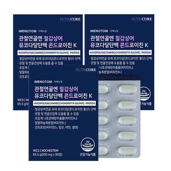 뉴트리코어 관절 연골엔 철갑상어 뮤코다당단백 콘드로이친K 90정 3