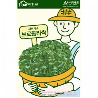 아시아종묘 브로콜리씨앗종자 브로콜리싹(1kg)