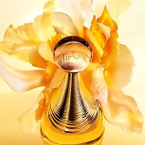 디올 DIOR 자도르 오드 퍼퓸 J`Adore 100ml