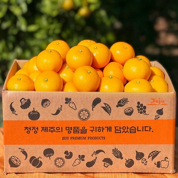 확대된 대표 상품이미지1