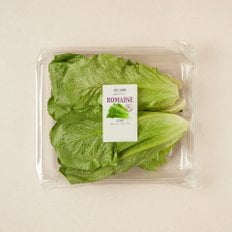  로메인하트 (300g)